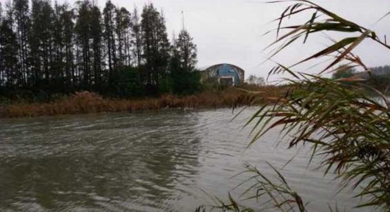 钓鱼人太牛！大风大雨中垂钓也能迎来鲤鲫大丰收