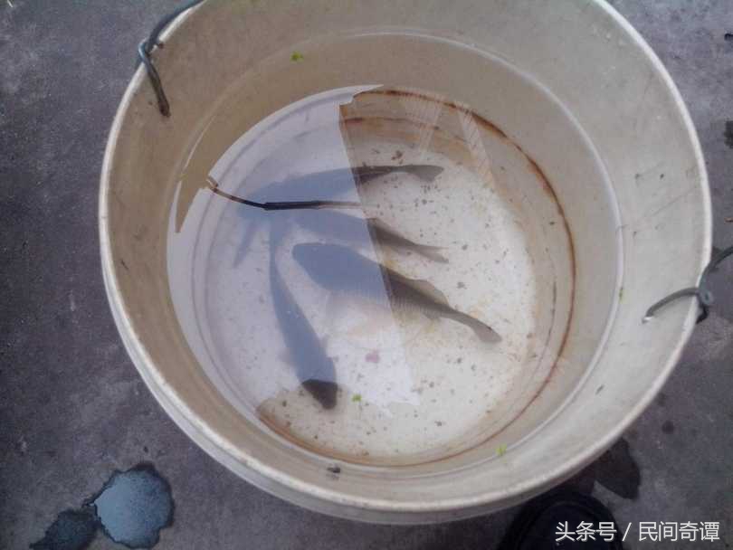 钓鱼钓一会就没口了怎么办,钓鱼钓一会就钓不上来