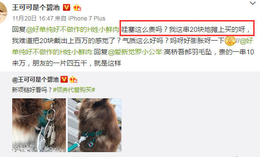 王思聪敢给王可可买这条狗链，看来是决定挑衅整个娱乐圈了