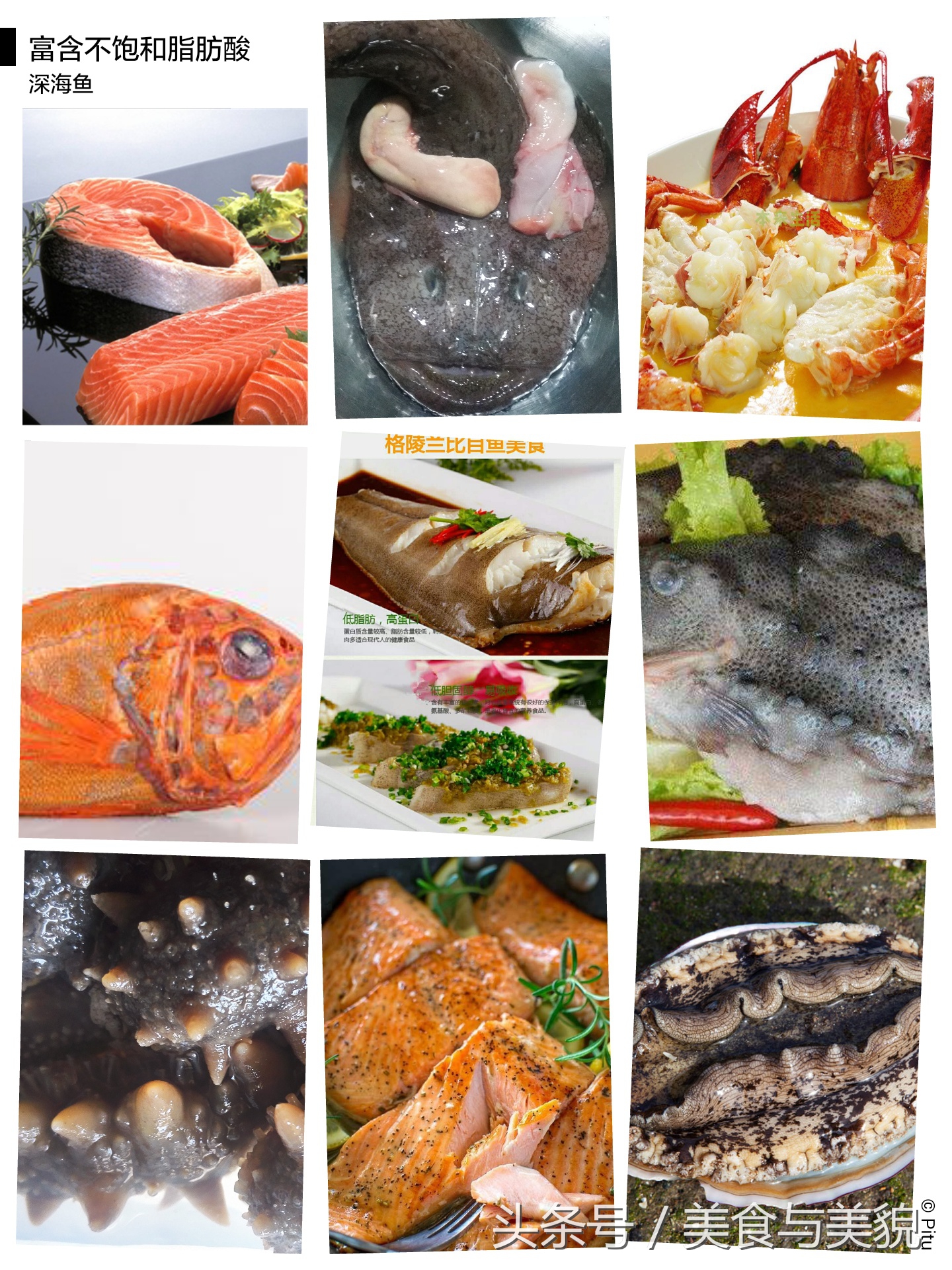 深海鱼有哪些品种适合宝宝吃,适合孩子吃的深海鱼排名前十名