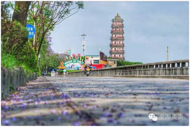 肇庆风水最旺的地方,肇庆市的风水格局