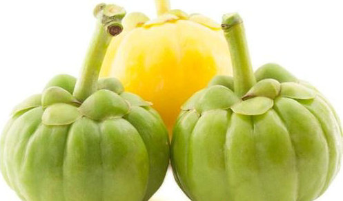 藤黄果减肥最好的产品,瘦身藤黄果含什么