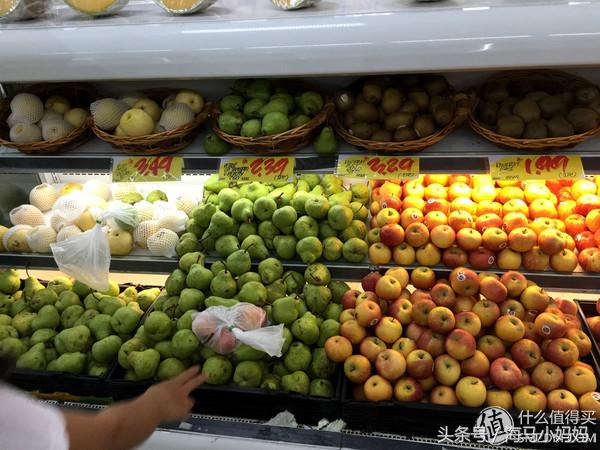 仙本那考潜水证日程,去仙本那潜水要考什么证