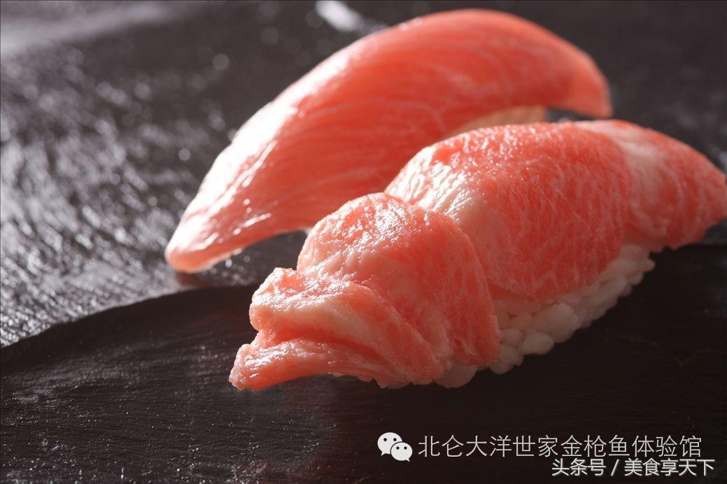 世界上顶级的鱼你认识几种,世界上你有可能没听过的十种鱼