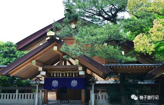 樱花旅行记全集视频,樱花季日本14天旅游攻略