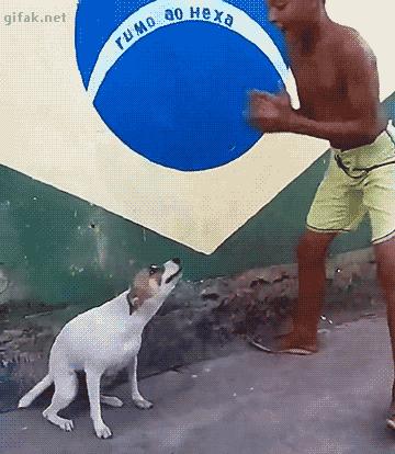 那些年*辱侮**我们智商的剧情，今天才发现深深被套路了~被套路了~