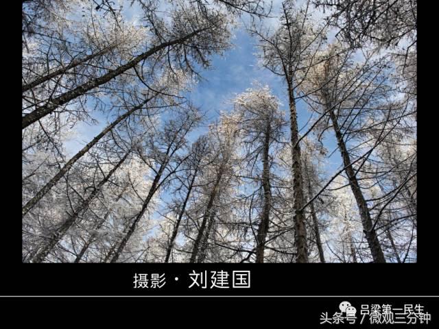 岚县野鸡山位于哪里,山西吕梁山雪景图片