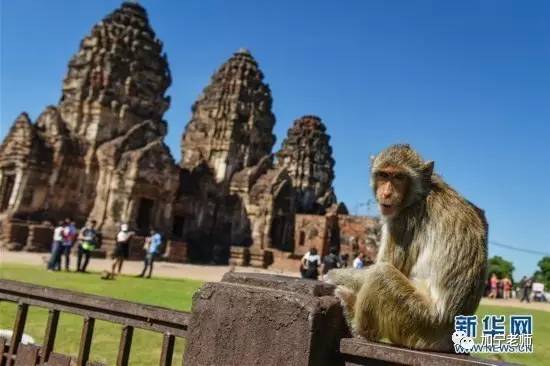 用马哲原理分析现实问题,马哲的三大规律原理