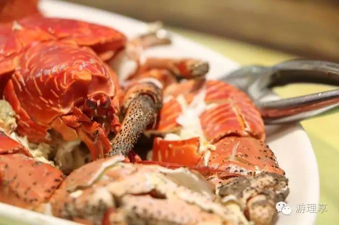 美丽的海岛帕劳风景,帕劳旅游攻略海岛