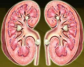 腰疼是有重大疾病吗,腰疼除了腰的问题还有别的原因