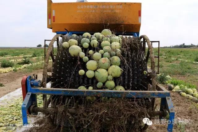 说走就走出去溜达,说走就走出去玩视频