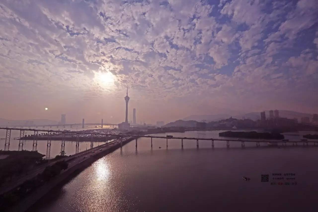 这个圣诞季，澳门MO的火鸡已经出炉啦！