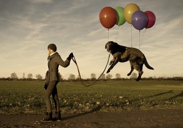 养狗之前请认真把这篇文章看完!