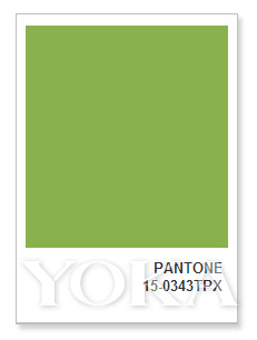 潘通2024年度色,潘通发布2023年度下半年流行颜色