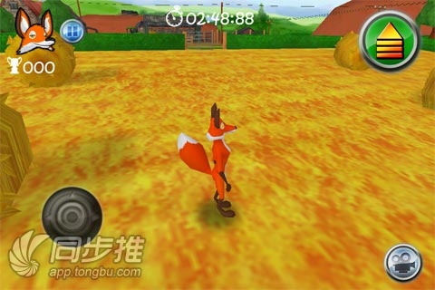 偷鸡狐狸,狐狸偷鸡的游戏