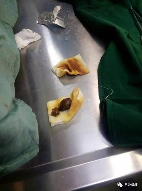 喜欢狗和爱狗区别,这就是喜欢和爱的区别完整版