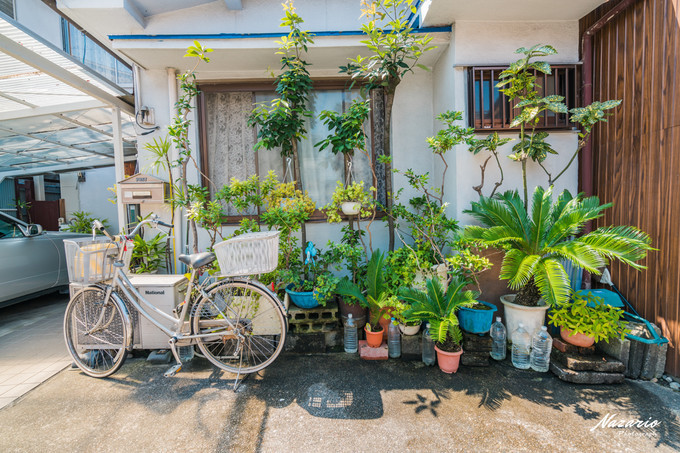 粉红猪小妹与小猪佩奇,粉红猪小妹的快乐生活