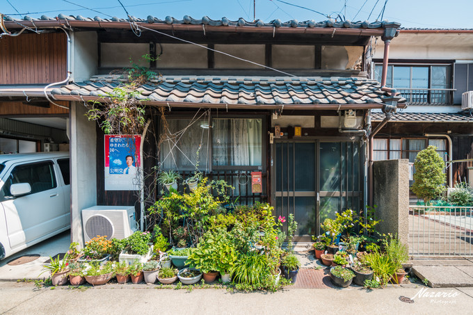 粉红猪小妹与小猪佩奇,粉红猪小妹的快乐生活