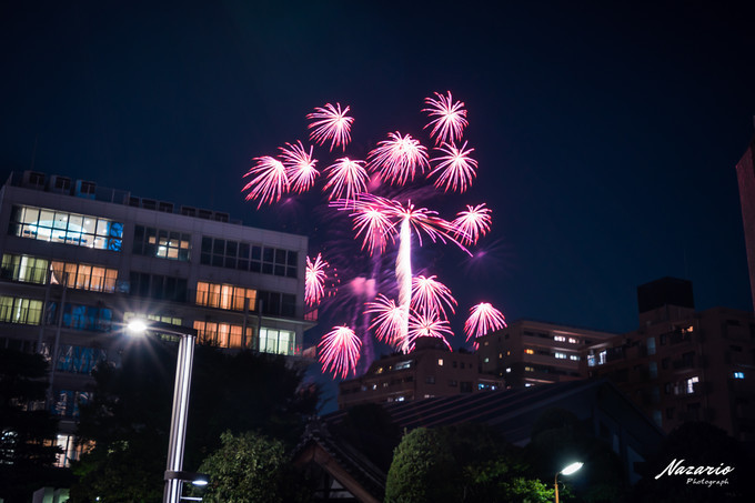 粉红猪小妹与小猪佩奇,粉红猪小妹的快乐生活