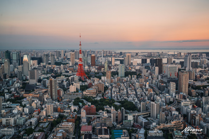 粉红猪小妹与小猪佩奇,粉红猪小妹的快乐生活