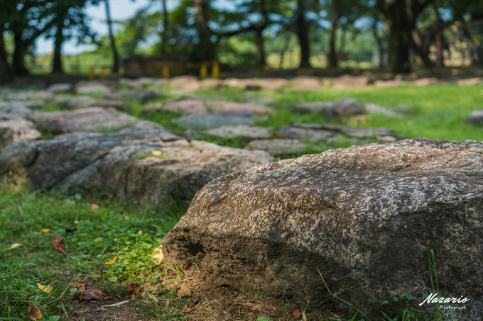 粉红猪小妹与小猪佩奇,粉红猪小妹的快乐生活