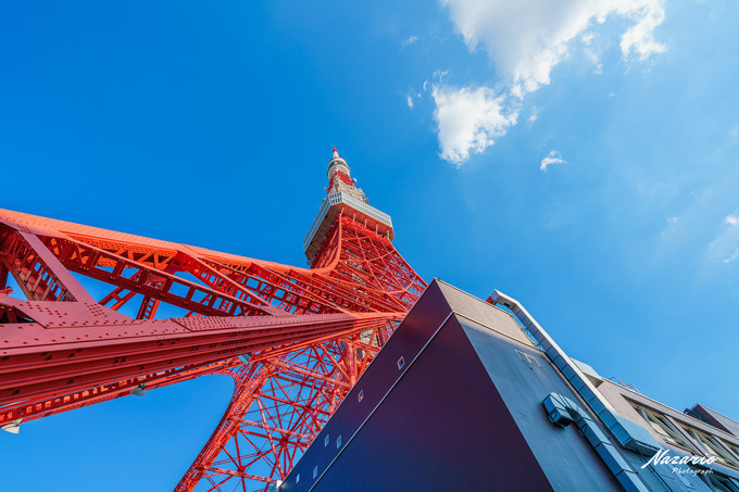 粉红猪小妹与小猪佩奇,粉红猪小妹的快乐生活