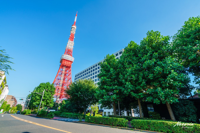 粉红猪小妹与小猪佩奇,粉红猪小妹的快乐生活