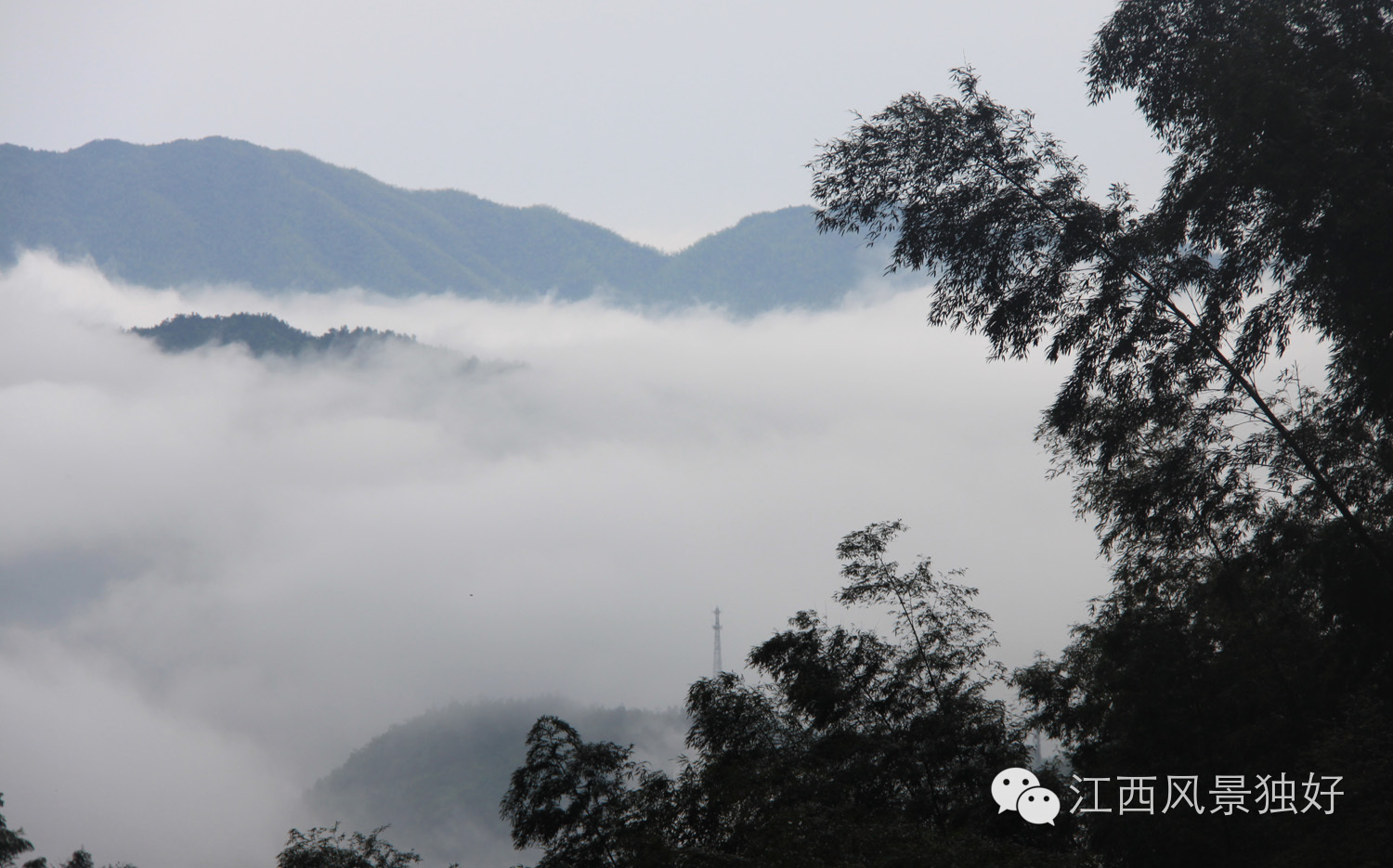最美云海，人间仙境在江西