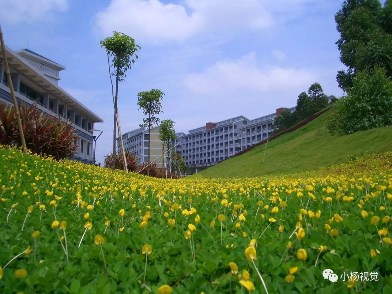 新旧老照片对比人物,新旧照片对比视频