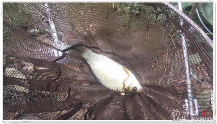 两钓一闲水凑成一个发