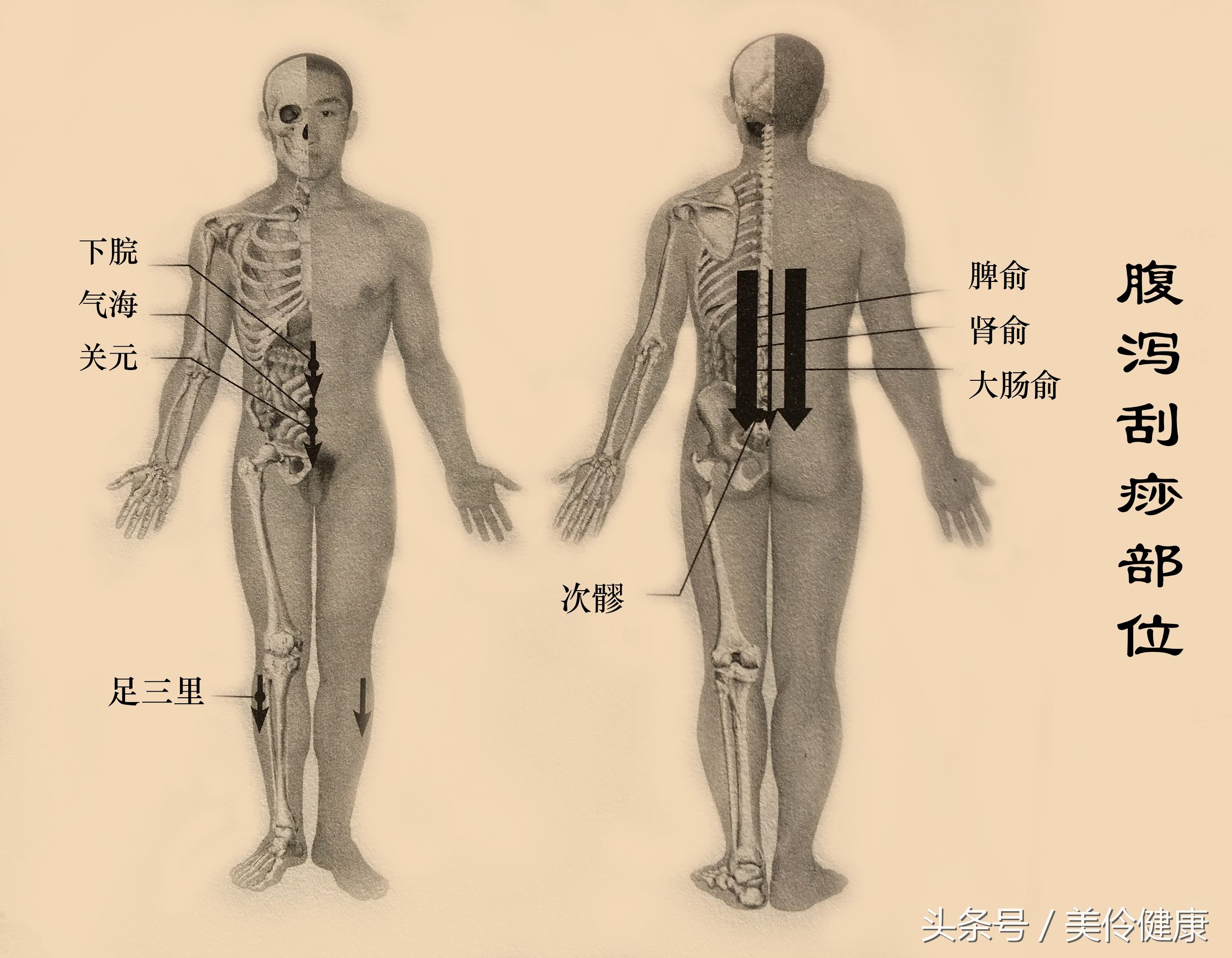 促进肠道蠕动的刮痧方法,便秘中医穴位刮痧治疗