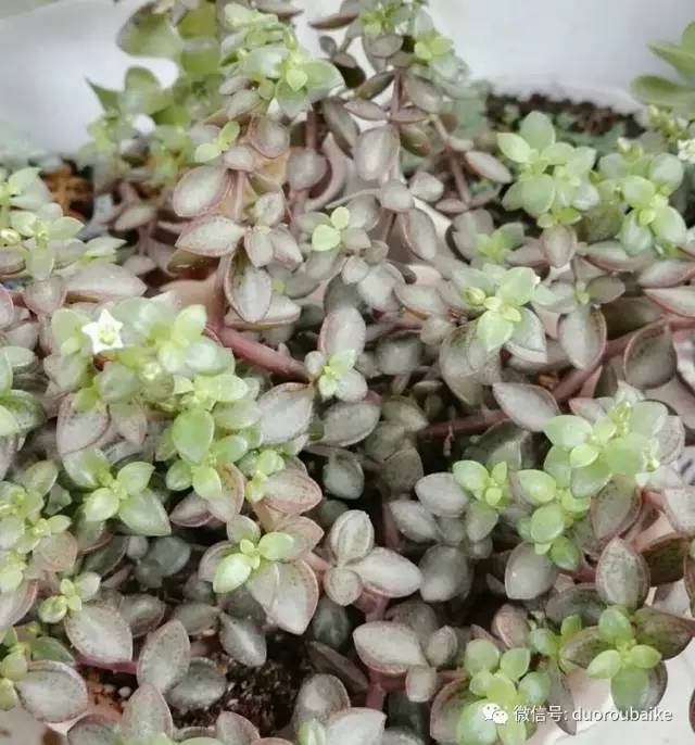 美好的时光带来快乐,美好的时光伴随着我