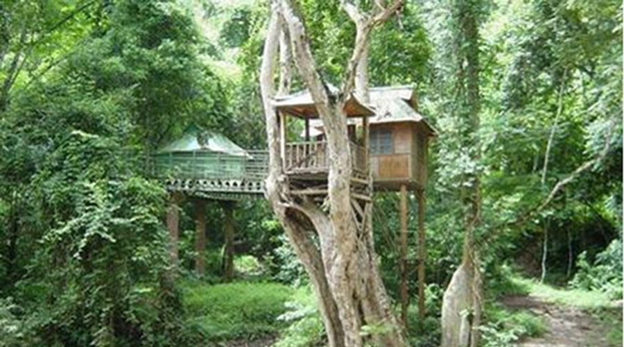 主题酒店的类型有哪些,主题酒店的类型及代表酒店有哪些