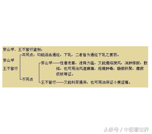此草性走而不住，虽有王命不能留其行！善于下行，活血通经！