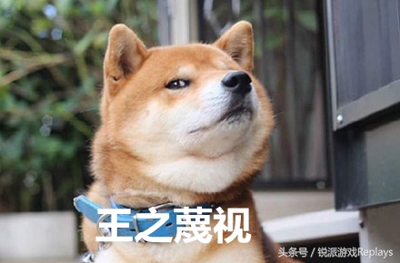 阴阳师小讲堂,阴阳师文化小讲堂