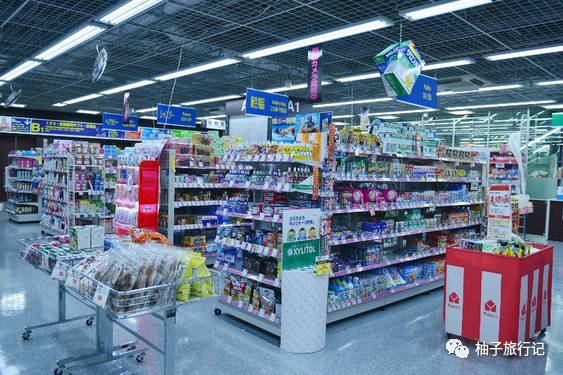 樱花旅行记全集视频,日本樱花7日游攻略大全