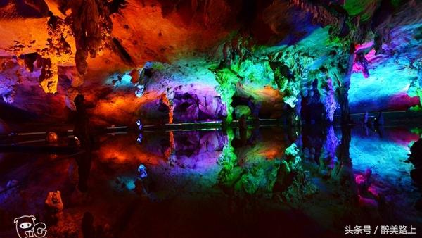 连州菜心拍卖最高价,至尊连州菜心什么价