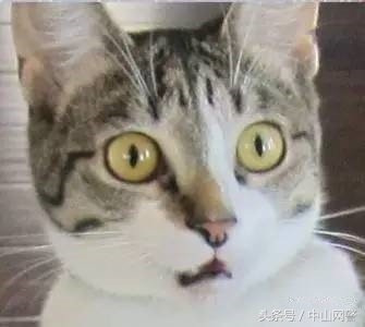 中山富华酒店,富华酒店中山