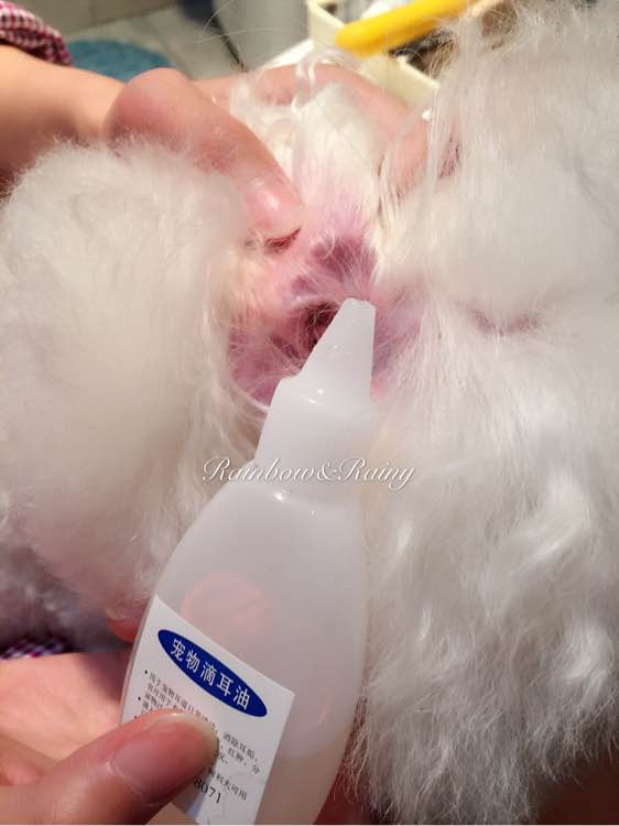 狗狗洗澡教程新手大型犬,狗狗洗澡教程新手入门