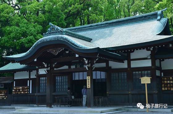 樱花旅行记全集视频,日本樱花7日游攻略大全