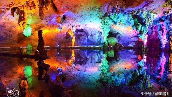 连州菜心拍卖最高价,至尊连州菜心什么价