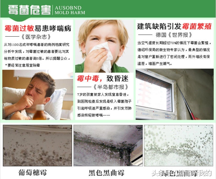 如何快速除去墙上的黑霉,快速除霉的办法