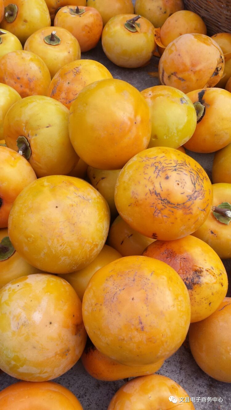 文县贾昌一个“胖子”变”瘦子“的过程