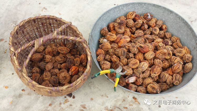 文县贾昌一个“胖子”变”瘦子“的过程