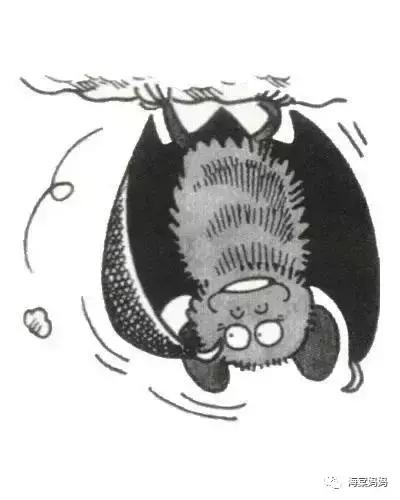 海棠科普丨天啊，居然还有这种排便方式