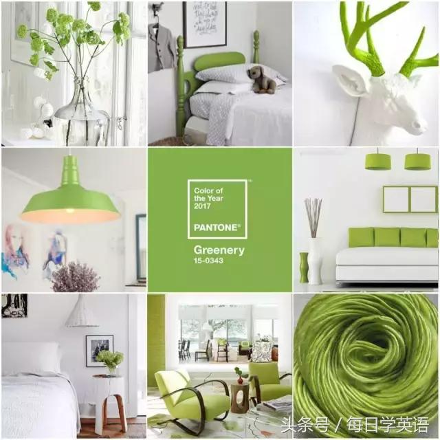 2017年的流行色草木绿,今年流行色薄荷绿