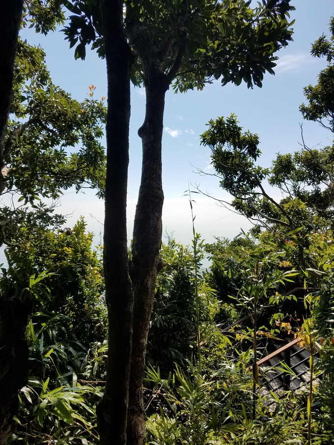 海南三亚雾霾,三亚雾霾