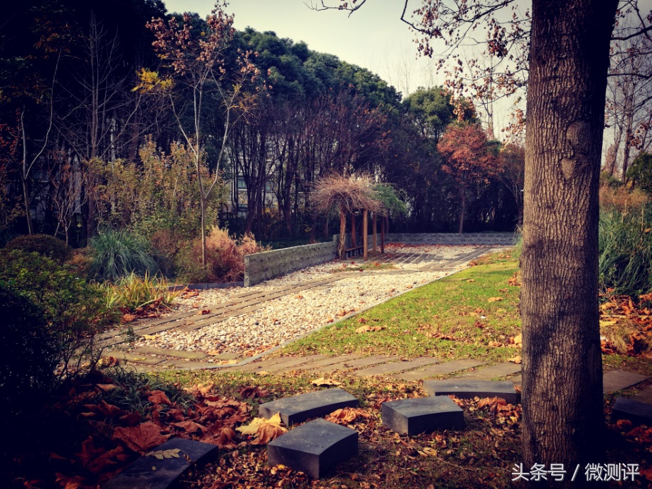 被玩了半年后的华为P9再体验,告诉你是否被忽悠!