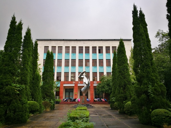 重庆十大最美的大学排行榜,重庆最美风景区排名