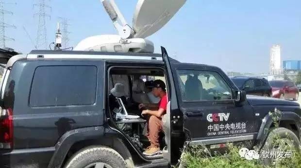 2021年钦州大蚝,钦州大蚝质量